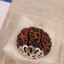Silver Nine Mukhi Rudraksha Pendent