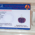 Silver Nine Mukhi Rudraksha Pendent