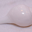 Conch Blowing Shankh 