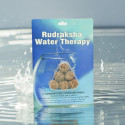 Rudraksha Water Therapy