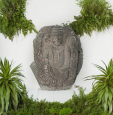 Laxmi Narayan on Shaligram