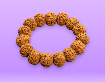 Rudraksha Beads 