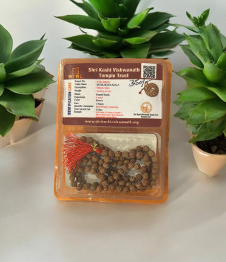 Rudraksha Mala Seed 6 MM