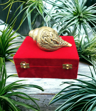 Brass blowing shankh 
