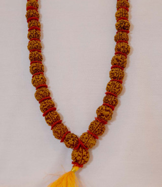 Rudraksha Kantha 54 Dana Special