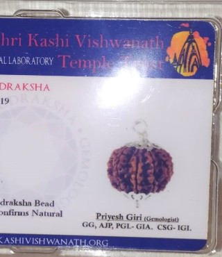 10 Mukhi Rudraksha With Silver Pendant