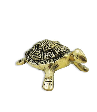 Brass Tortoise