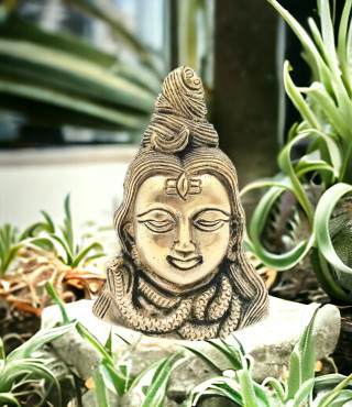 Shiv Ji Face Small