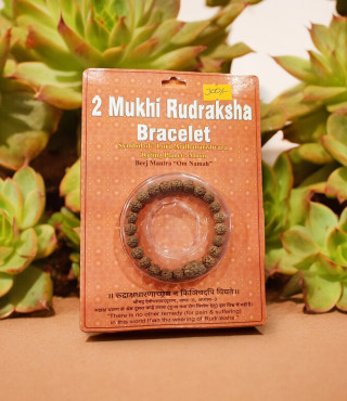 2 Mukhi Rudraksha Bracelet