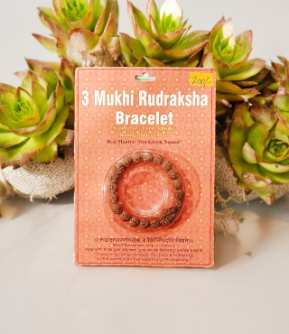 3 Mukhi Rudraksha Bracelet