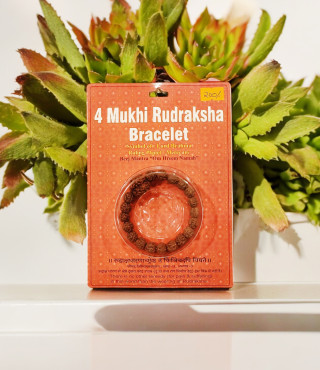 4 Mukhi Rudraksha Bracelet