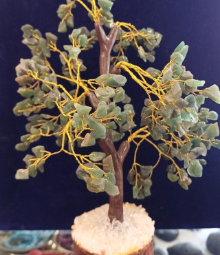 Budhha tree..or tree of prosperity