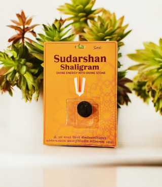 Sudarshan Shaligram