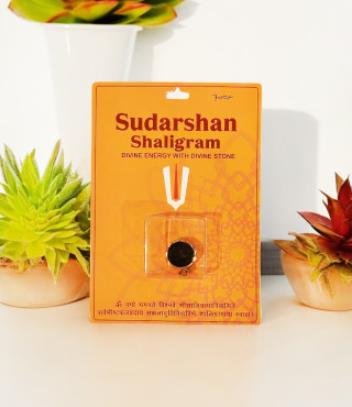 Sudarshan Shaligram With Pendent