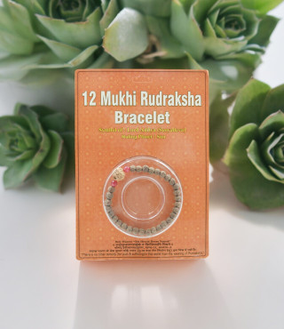 12 Mukhi Rudraksha Bracelet