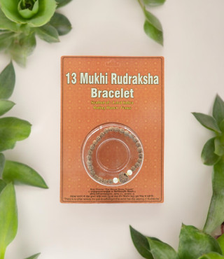 13 Mukhi Rudraksha bracelet