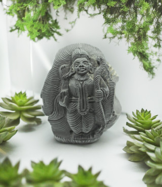 Ram ji on Shaligram