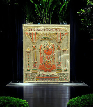 Sankat Mochan Silver Idol