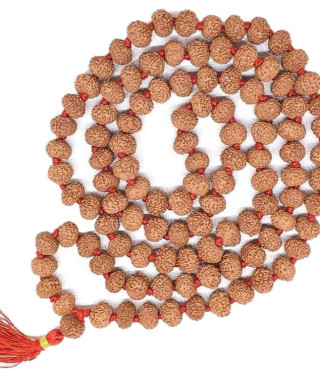 6 Mukhi Rudraksha Mala With Lab Certification