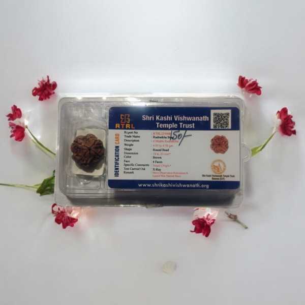 4 Mukhi Rudraksha