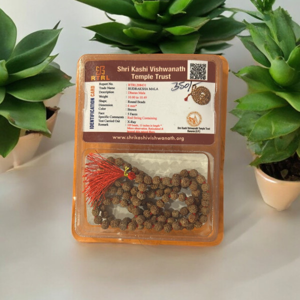 Rudraksha Mala Seed 6 MM