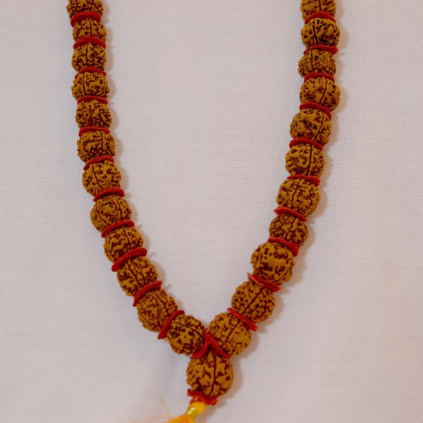 Rudraksha Kantha 54 Dana Special