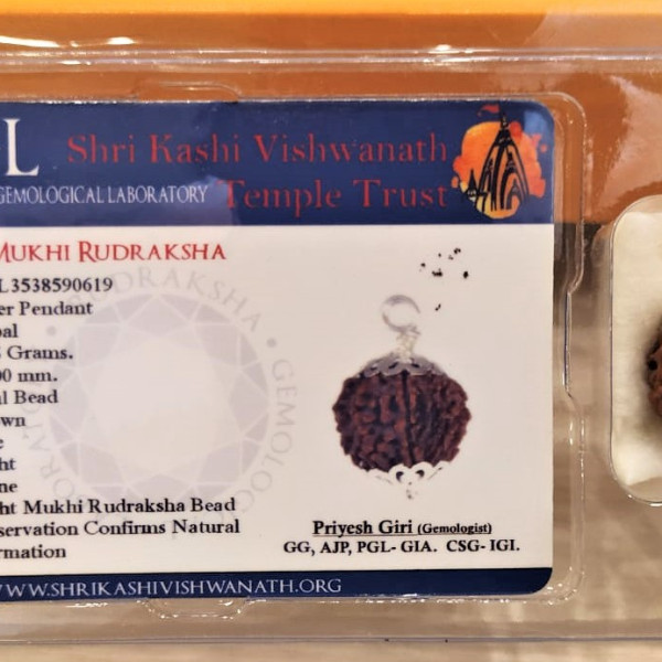 Silver Eight Mukhi Rudraksha Pendent