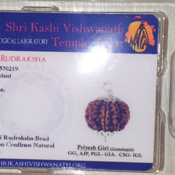 10 Mukhi Rudraksha With Silver Pendant