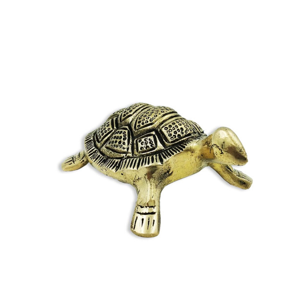 Brass Tortoise