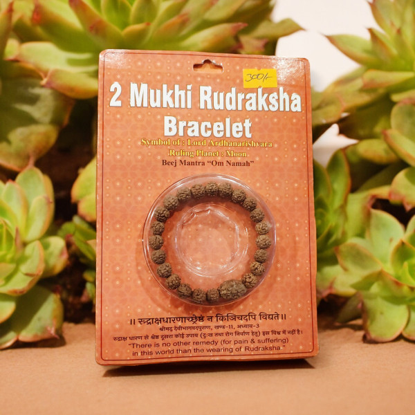 2 Mukhi Rudraksha Bracelet