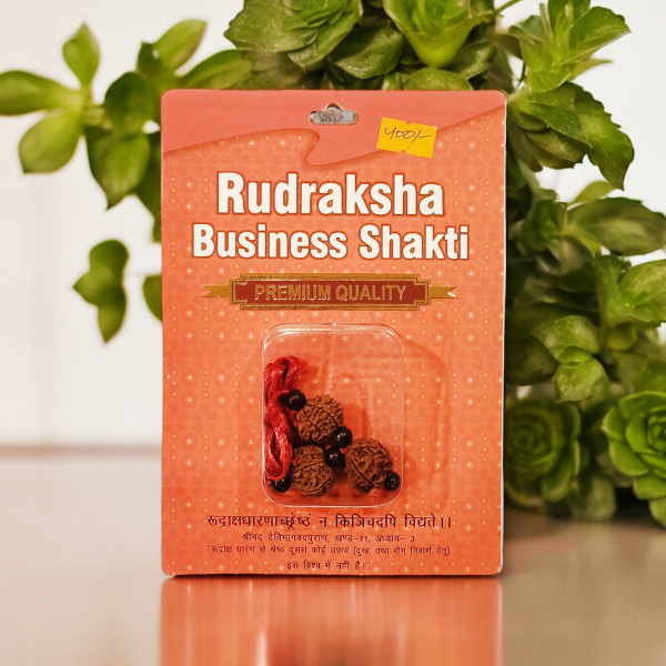 Rudraksha Business Shakti