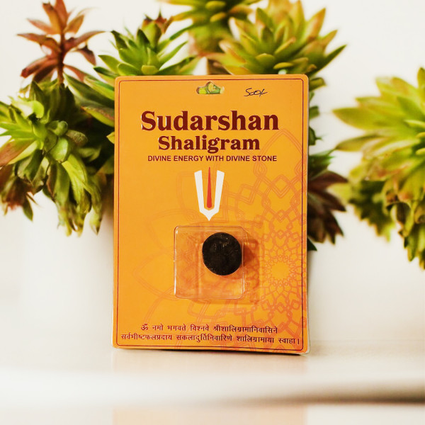 Sudarshan Shaligram