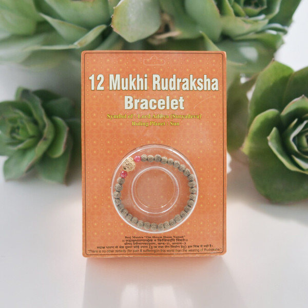 12 Mukhi Rudraksha Bracelet