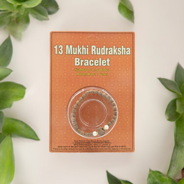 13 Mukhi Rudraksha bracelet