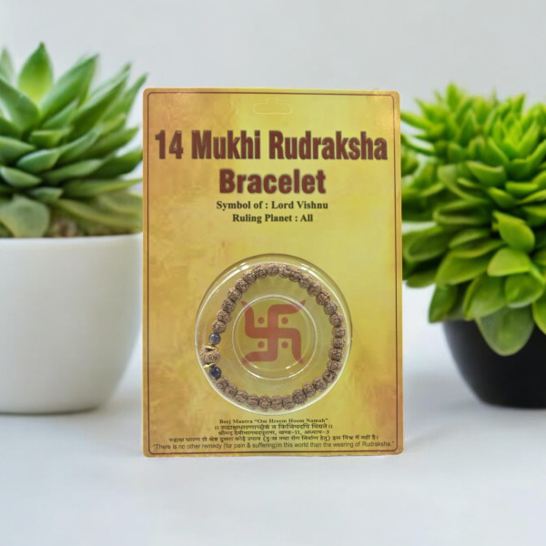 14 Mukhi Rudraksha Bracelet