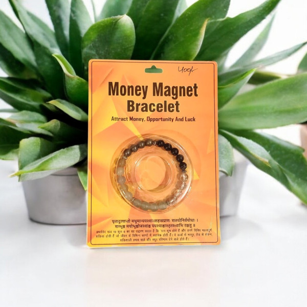 Money Magnet Bracelet
