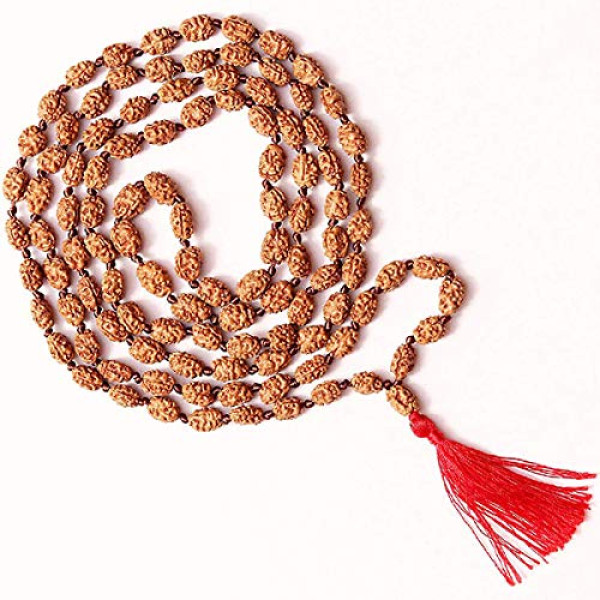 2 Mukhi Rudraksha Mala With Lab Certification (6-9 mm)