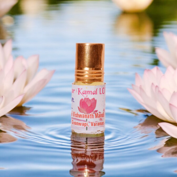 Attar Lotus  Attar Lotus