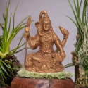 Brass Shiv Ji Medium Brass Shiv Ji Medium