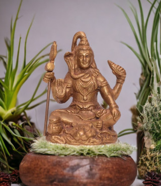 Brass Shiv Ji Medium Brass Shiv Ji Medium
