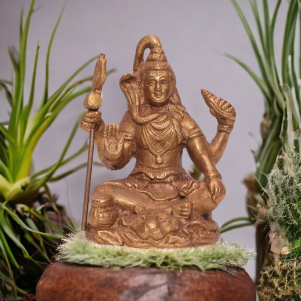 Brass Shiv Ji Medium Brass Shiv Ji Medium