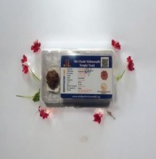 4 Mukhi Rudraksha 4 Mukhi Rudraksha