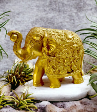 Big Elephant Big Elephant