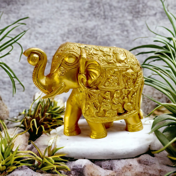 Big Elephant Big Elephant