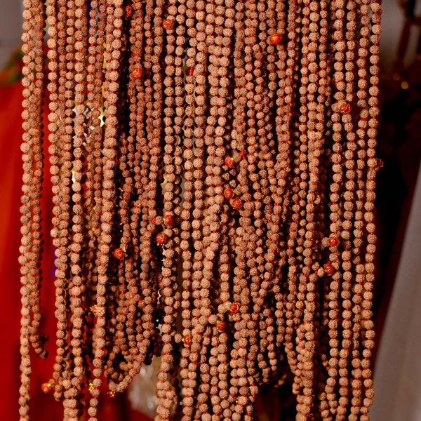 Rudraksha Mala Matured bead 5 MM