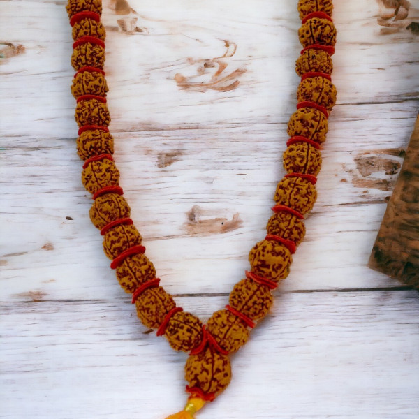 Rudraksha Kantha 54 Dana Rudraksha Kantha 54 Dana
