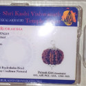Silver Ten Mukhi Rudraksha Pendant
