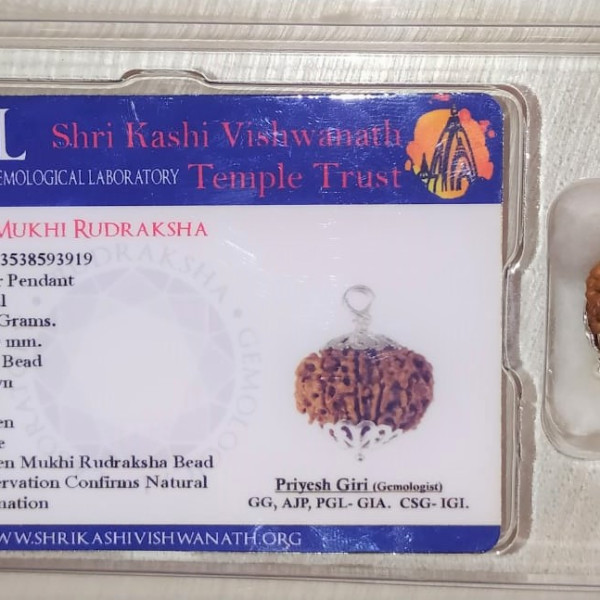 Silver Eleven Mukhi Rudraksha Pendant