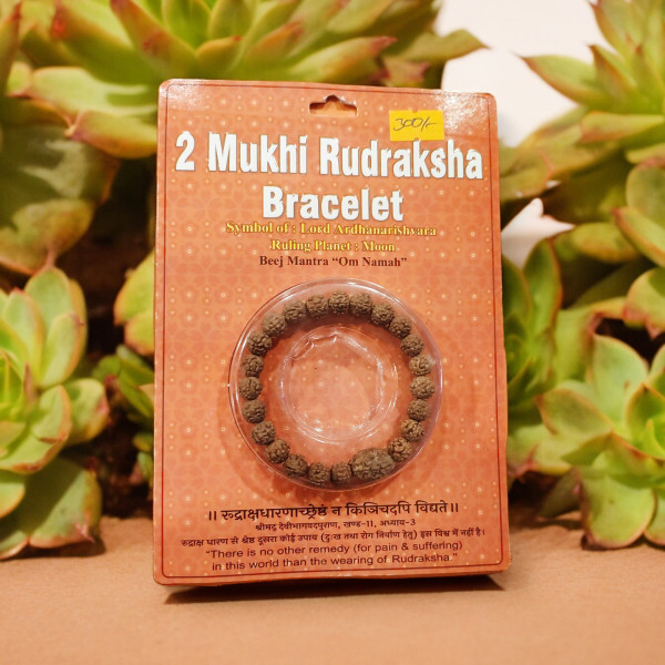 2 Mukhi Rudraksha Bracelet 2 Mukhi Rudraksha Bracelet