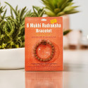 6 Mukhi Rudraksha Bracelet 6 Mukhi Rudraksha Bracelet